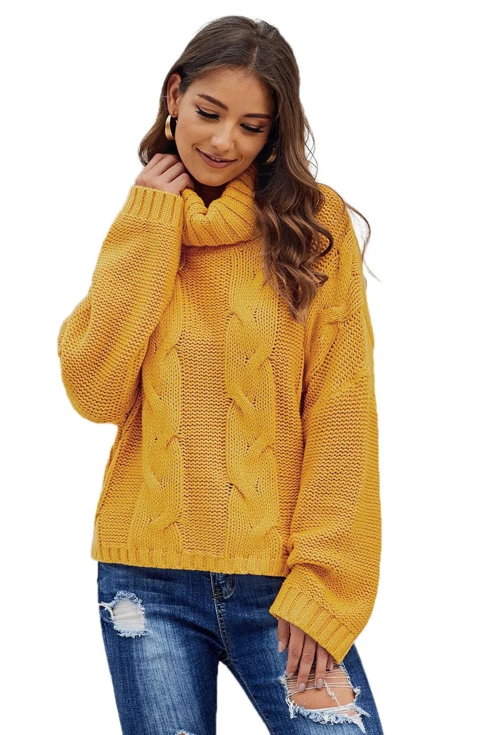Autumn Cable Knit Turtleneck Pullover