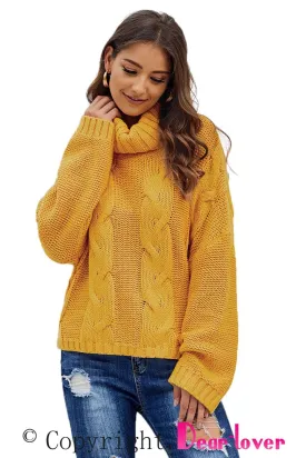 Autumn Cable Knit Turtleneck Pullover