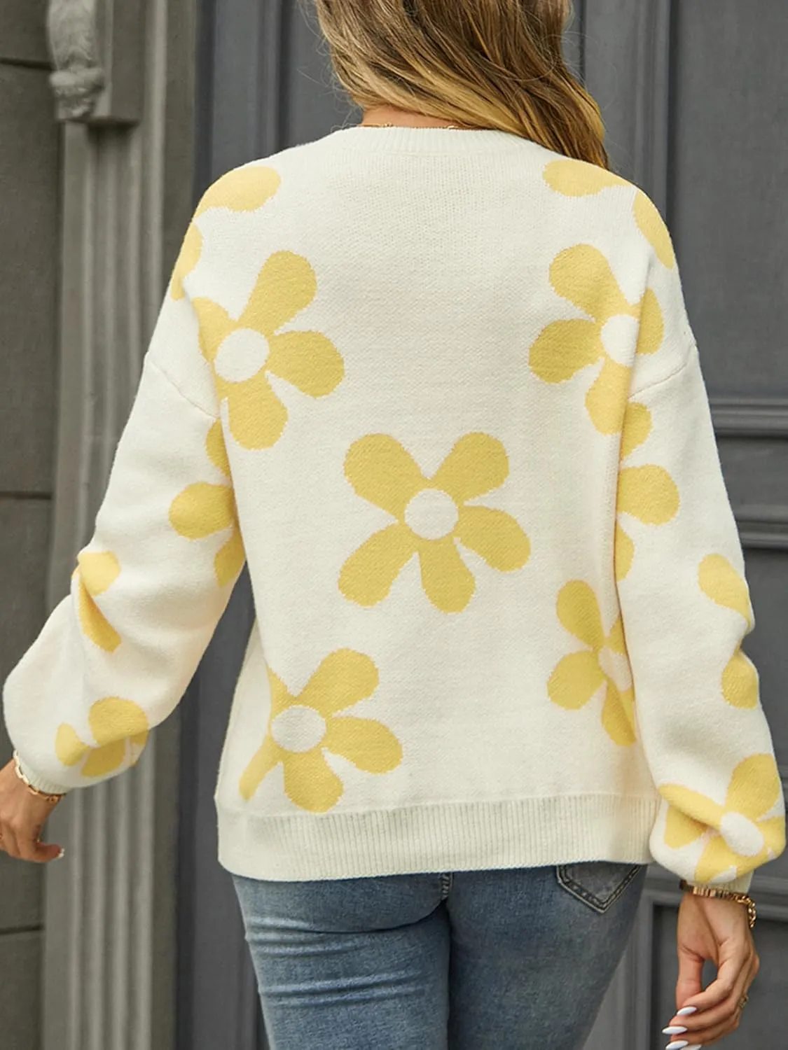 ECOWISH Women's Sweater 2025 Fall - Long Sleeve Crewneck Tops Knit Oversized Pullover Casual Print Jumper