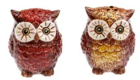 Rivers Edge Owl Salt And Pepper Set