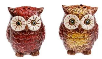 Rivers Edge Owl Salt And Pepper Set